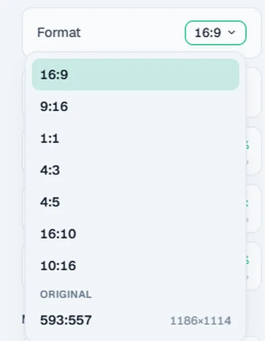 OpenScreen 화면 비율(Format) 선택 메뉴
